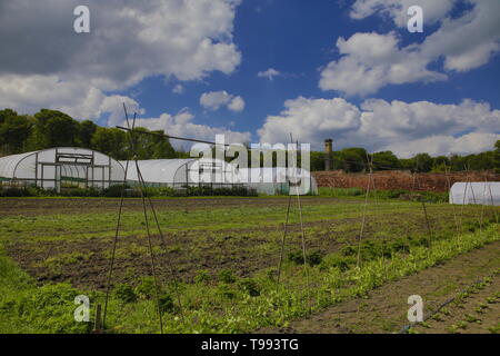 Wortley Hall Mansion und Gärten in Yorkshire, Großbritannien Stockfoto