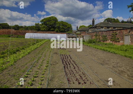 Wortley Hall Mansion und Gärten in Yorkshire, Großbritannien Stockfoto