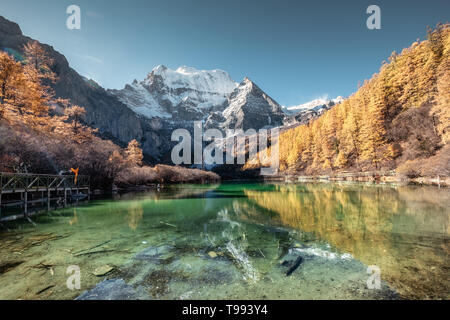 Xiannairi Berg Reflexion über Emerald Lake mit Golden Pine Wald im Herbst. Yading Naturschutzgebiet Stockfoto