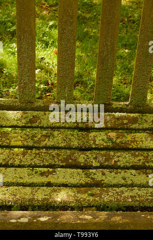 Zusammenfassung der geschlitzten Bank in Algen bedeckt, Stratford-on-Avon, England, Vereinigtes Königreich, Europa Stockfoto