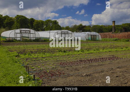 Wortley Hall Mansion und Gärten in Yorkshire, Großbritannien Stockfoto