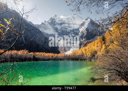 Xiannairi Berg auf Emerald Lake mit Golden Pine Wald im Herbst. Yading Naturschutzgebiet Stockfoto