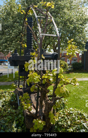 Wein drücken Sie Funktion außerhalb der Bibliothek und Museum Alcester in der Nähe von Evesham, England, Vereinigtes Königreich, Europa Stockfoto