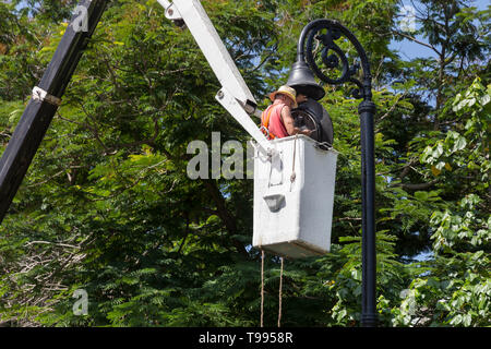 Ein Kubanischer Arbeiter in einer Cherry Picker Hubarbeitsbühne führt Reparaturen und Wartungsarbeiten an der Straßenbeleuchtung in Havanna, Kuba Stockfoto