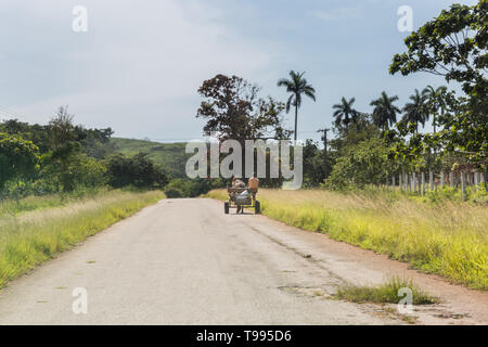 Pferdewagen über die ländliche Landschaft Straße, Transport in der Nähe von Santa Cruz del Norte, Provinz Mayabeque, Cua Stockfoto