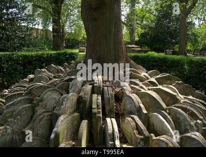 Grabsteine, die die Hardy Baum in St. Pancras Old Church, London Stockfoto