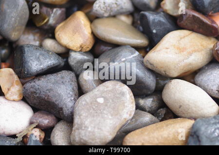 Natürlichen Hintergrund von nassen Abgerundete Strand Steine bei St Monan, Fife, Schottland, Großbritannien. Stockfoto