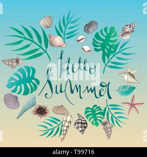 Vektor seashell Doodles vollständigen Vektor Sommer Hintergrund Stock Vektor