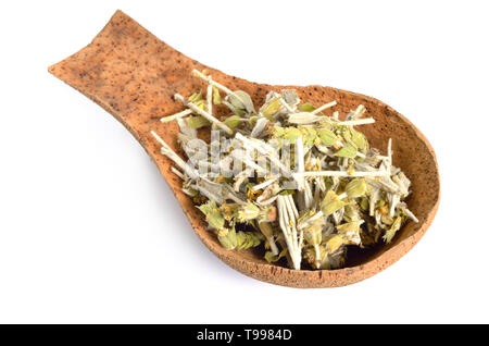 Sideritis, auch als ironwort, Griechischer Bergtee und Shepherd's Kaffee bekannt. Auf weiß isoliert. Stockfoto