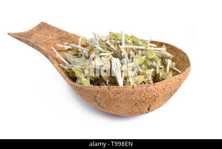 Sideritis, auch als ironwort, Griechischer Bergtee und Shepherd's Kaffee bekannt. Auf weiß isoliert. Stockfoto