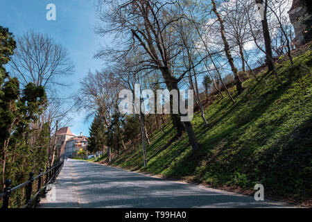 Gasse, umgeben von Natur, die zu den Schneider Tower. Breite Straße an einem sonnigen Tag im Frühjahr Stockfoto