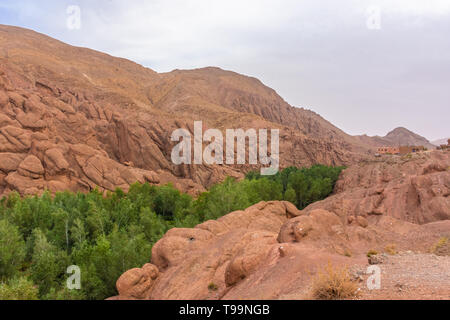 Landschaft der tausend Kasbahs Tal, Marokko Stockfoto