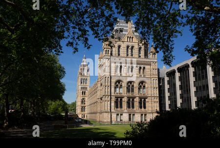 Natürlich Geschichte Museum von London, Großbritannien Stockfoto