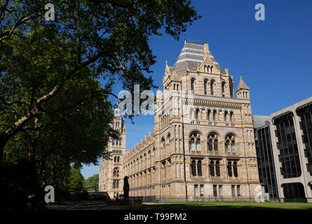 Natürlich Geschichte Museum von London, Großbritannien Stockfoto