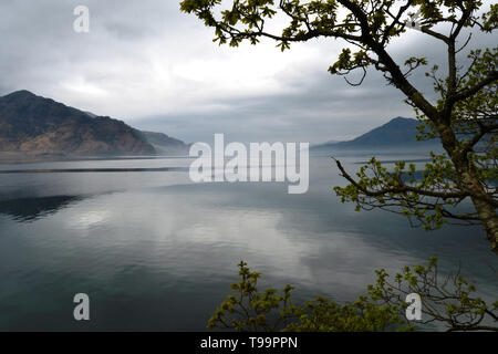 Eine misty Frühling Morgen im Corran auf Loch Hourn, West Highlands, Schottland. Stockfoto