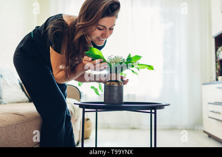 Frau duftende Blumen in der Vase auf dem Tisch. Allergiefrei. Hausfrau kümmert sich um die Gemütlichkeit in der Wohnung. Innenarchitektur und Einrichtung Stockfoto