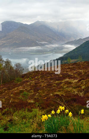 Ein Foto von den fünf Schwestern von Kintail vom gegenüberliegenden Hang auf einem nebelhaften Frühling Morgen Stockfoto