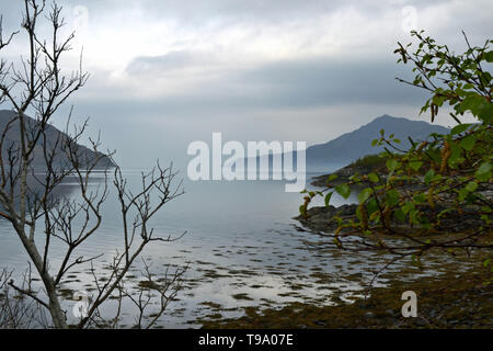 Eine misty Frühling Morgen im Corran auf Loch Hourn, West Highlands, Schottland. Stockfoto