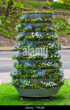 Blumenbeet, bestehend aus mehreren Ebenen mit dekorativen frische Blumen, die entlang der Straße auf dem Rasen mit grünem Gras in der Altstadt von Riga. Stockfoto