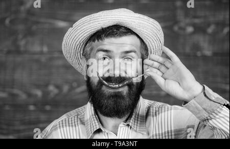 Rustikale Bauer im Stroh Hut mag scharfen Geschmack. Mann Pfeffer Ernte. Pfeffer Ernte Konzept. Bärtige Landwirt halten chili Red Pepper in der Hand. Bauer präsentieren Hot Chili Pepper Holz- Hintergrund. Stockfoto