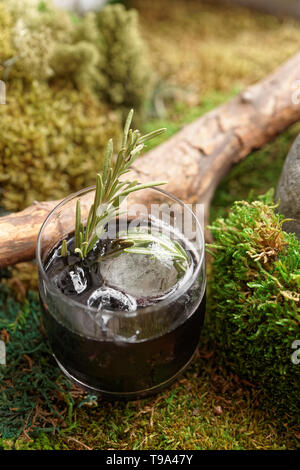 Schwarz Cocktail mit Rosmarin auf Moss, natürliches Getränk Konzept Stockfoto