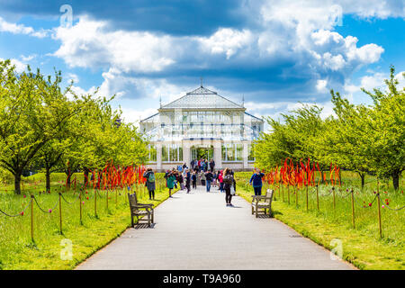 4. Mai 2019 - Glasskulptur „Cattails and Copper Birch Reeds“ von Dale Chihuly als Teil der temporären Ausstellung in Kew Gardens, London Stockfoto