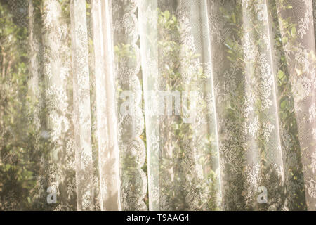 Defokussierten Vorhang Fenster Sonnenlicht durch Gitter Vorhang am Morgen der Frühling Sommer. Grüne Natur Garten Hintergrund. Frisch. Urlaub. Entspannen. Konzept Idee Stockfoto