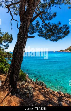 Malerische Küste von Tukey mit grünen Bäumen und azurblauen Meer Stockfoto