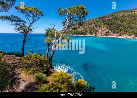 Malerische Küste von Tukey mit grünen Bäumen und azurblauen Meer Stockfoto