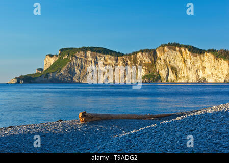 Kalksteinfelsen entlang Cap Gaspé aus cap-bon-Ami Forillon Nationalpark Quebec Kanada Stockfoto