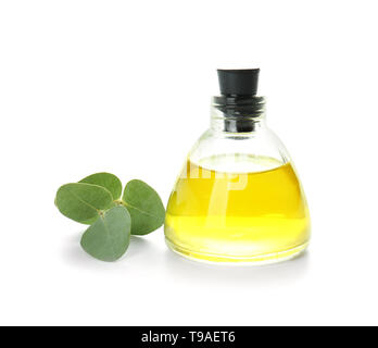 Flasche Eukalyptus ätherisches Öl auf weißem Hintergrund Stockfoto