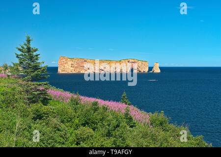 Le Rocher Percé oder Percé Rock im Atlantischen Ozean Percé Quebec Kanada Stockfoto