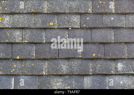 Nahaufnahme der externen Wandfliesen auf einem 1960 erbauten Haus in Großbritannien Stockfoto