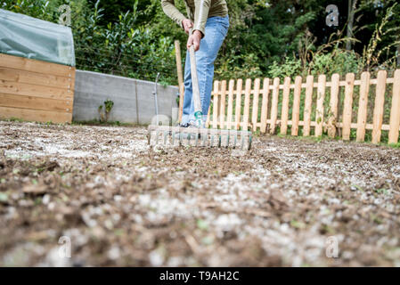 Niedrigen Winkel Blick eines Mannes, den Boden mit einer zweigleisigen Metall Harke Rechen Gartenarbeit zu tun. Stockfoto