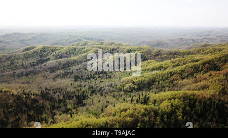 Yichun. 15 Mai, 2019. Luftbild am 15. Mai 2019 zeigt die Landschaft von Wuying National Forest Park im Nordosten Chinas Yichun, Provinz Heilongjiang. Der Park, mit 93,2 Prozent der Waldflächen ist berühmt für gut erhaltene Koreanische Kiefern. Credit: Wang Jianwei/Xinhua/Alamy leben Nachrichten Stockfoto