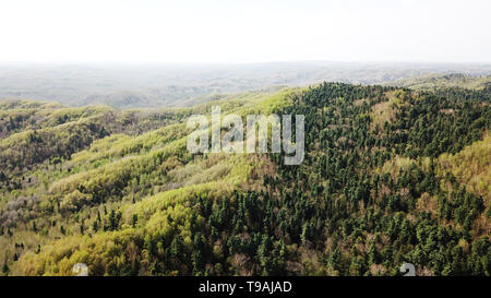 Yichun. 15 Mai, 2019. Luftbild am 15. Mai 2019 zeigt die Landschaft von Wuying National Forest Park im Nordosten Chinas Yichun, Provinz Heilongjiang. Der Park, mit 93,2 Prozent der Waldflächen ist berühmt für gut erhaltene Koreanische Kiefern. Credit: Wang Jianwei/Xinhua/Alamy leben Nachrichten Stockfoto