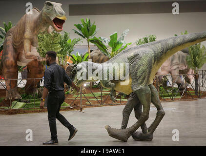 Vancouver, Kanada. 17 Mai, 2019. Ein Arbeitnehmer, der setzt auf ein Dinosaurier Kostüm, als er für die Jurassic Quest Ausstellung bereitet in Vancouver Convention Center in Vancouver, Kanada, 17. Mai 2019. Jurassic Quest ist das größte und bedeutendste realistische Dinosaurier Veranstaltung in Nordamerika und es kommt nach Kanada zum ersten Mal, mit über 80 Saurier in Lebensgröße. Credit: Liang Sen/Xinhua/Alamy leben Nachrichten Stockfoto