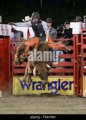 Surrey, Kanada. 17 Mai, 2019. Ein Cowboy konkurriert im Bullenreiten Event während der 73 Einladungs Cloverdale Rodeo in Surrey, Kanada, 17. Mai 2019. Die einladungs Cloverdale Rodeo verfügt über 96 erstklassige Cowboys und Cowgirls aus Nordamerika zu konkurrieren und stellen ihre Fähigkeiten in dieser vier Tage event Rodeo. Credit: Liang Sen/Xinhua/Alamy leben Nachrichten Stockfoto