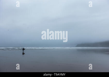 Surfer unter Nebel gehüllt Klippen an saltburn am Meer, North Yorkshire, England. Großbritannien Stockfoto