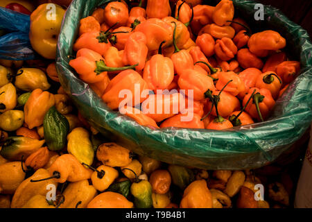 Habanero Chili Peppers im Korb auf dem Markt in Mexiko Stadt Stockfoto