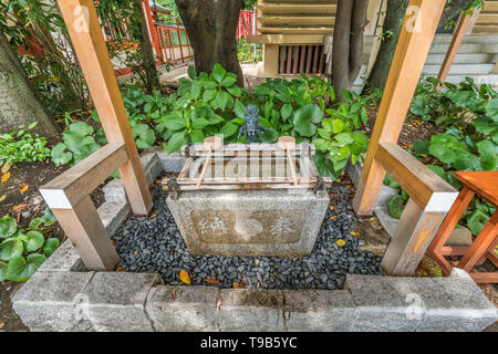 Tokio - August 14, 2018: Chozuya oder Temizuya (Wasser Waschung Pavillon) an Sanno Inari-Jinja Schrein von Hie Jinja. Shinto Schrein in Akasaka entfernt Stockfoto