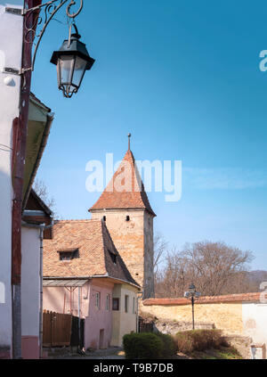 Morgen street view in Sighisoara mit Turm der Metzger in Sicht. Vertikaler Dampfstoß Stockfoto