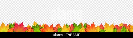 Bunte Blätter im Herbst nahtlose Muster banner transparenter Hintergrund Stock Vektor