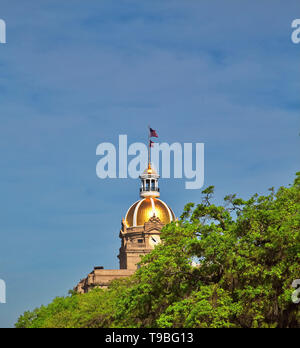 Savannah Rathaus Stockfoto