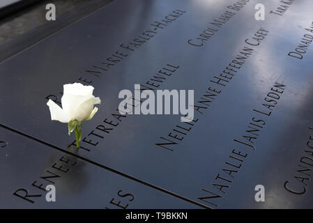 Weiße Rose auf eines der Opfer die Namen der Angriff 911, an der Nationalen September 11 Memorial Park in New York City eingraviert Stockfoto