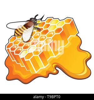 Süße goldene Honigwabe mit Pfütze von Honig, sitzen Biene auf weißem Hintergrund. Natürliches gesundes Essen. Vektor cartoon Close-up Abbildung. Stock Vektor