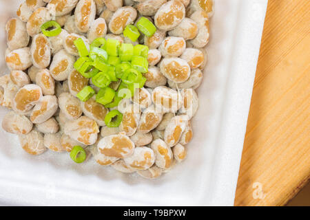 Natto - eine beliebte und gesunde Japanische Lebensmittel aus vergorenem Bohnen in einem Styropor Behälter mit grünen Frühlingszwiebeln als Belag. Stockfoto