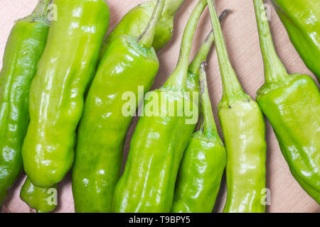 Bündel von grünem Chili peppers. Stockfoto