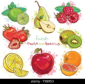 Vektor einrichten der Illustration mit frischen hellen Früchten und Beeren. Apple, Kiwi, Erdbeere, Himbeere, Birne, Zitrone, Limone, Orange, Grapefruit, Minze. eps Stock Vektor