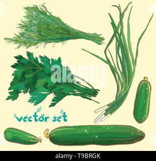 Vector Illustration mit Frühlingszwiebeln, Dill, Petersilie, Gurken. Gemüse und Kräuter gesetzt. Eps 10. Stock Vektor